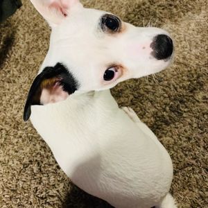 Meet your Posher, Lance